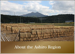 About the Ashiro Region